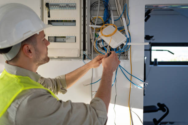 Best Electric Panel Repair  in Doctor Phillips, FL